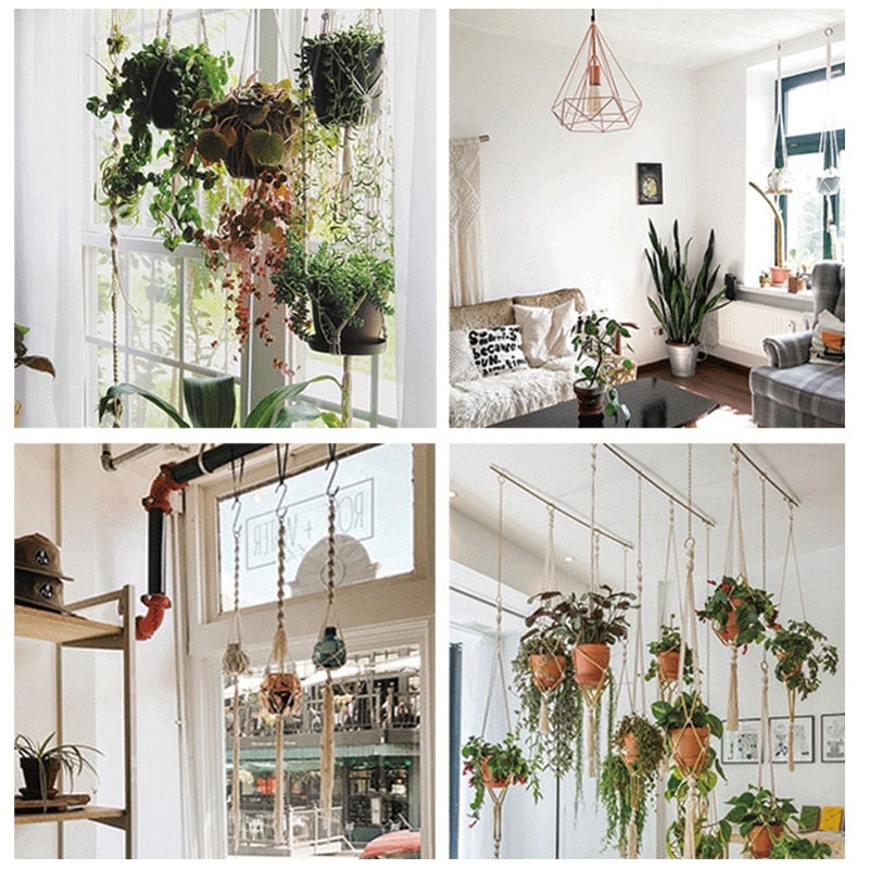 Indoor hanging baskets