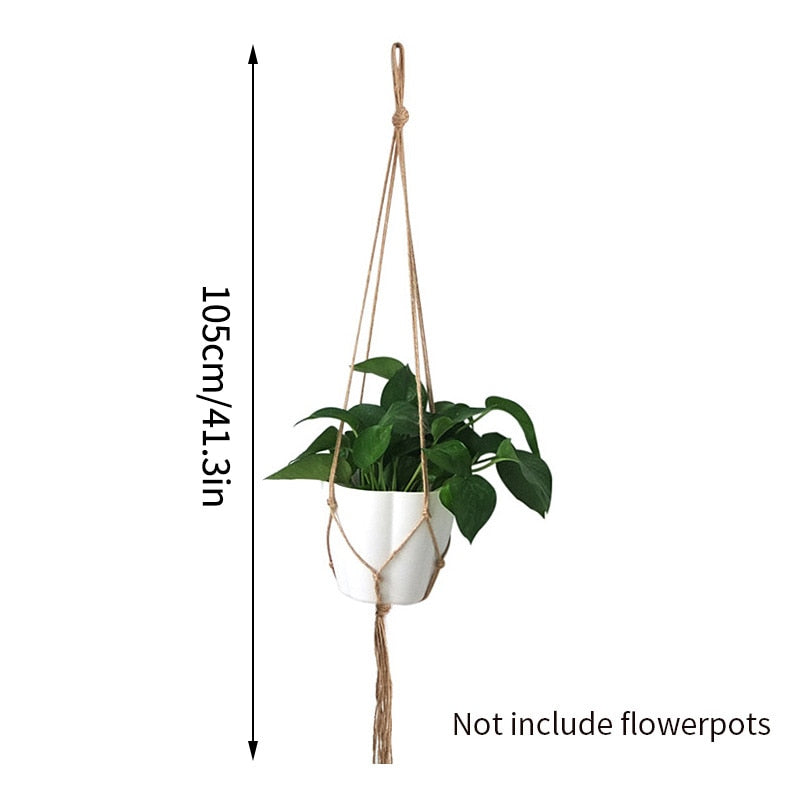 Indoor hanging baskets