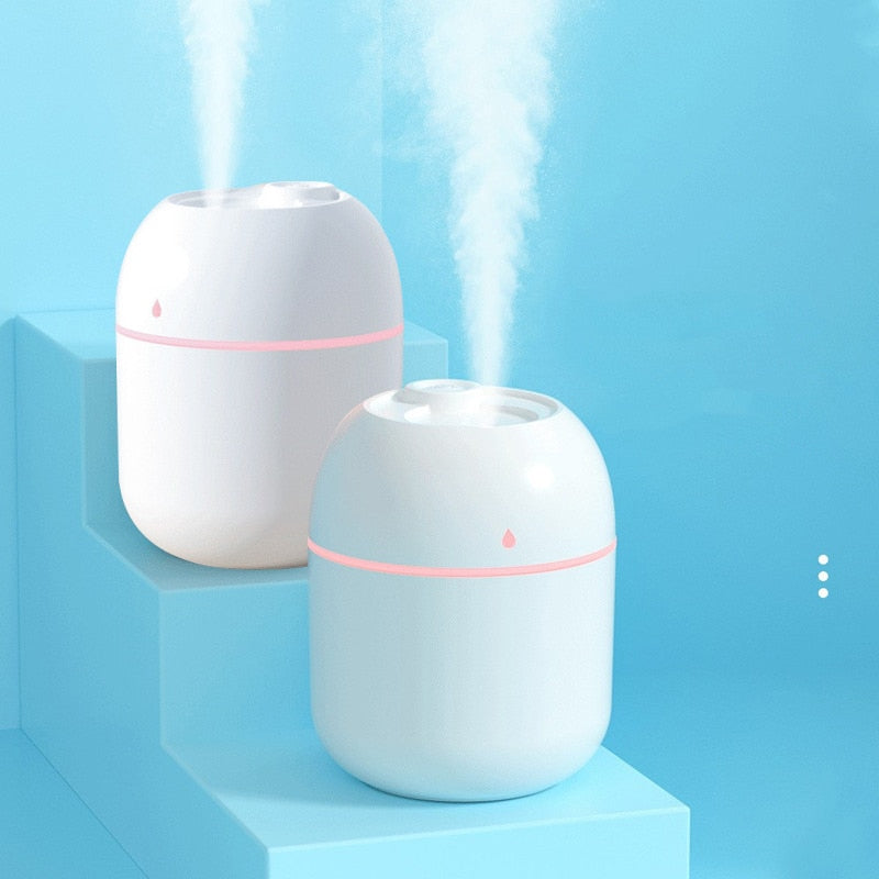 Portable Desktop Humidifier