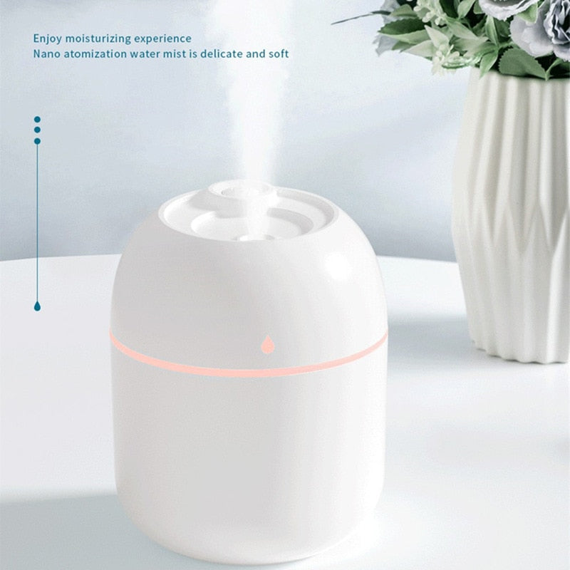 Portable Desktop Humidifier