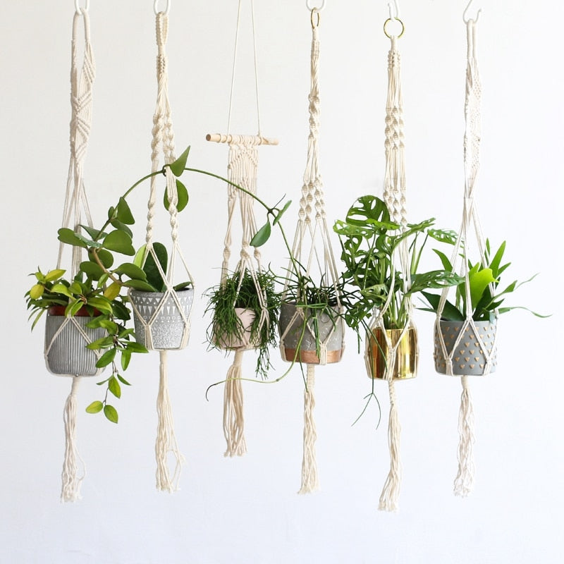 Indoor hanging baskets