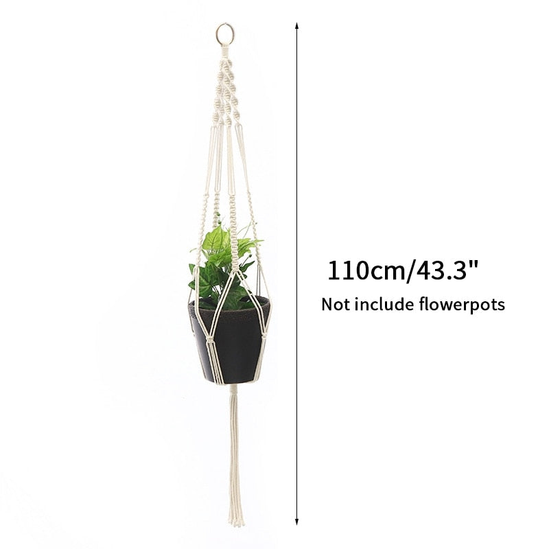 Indoor hanging baskets