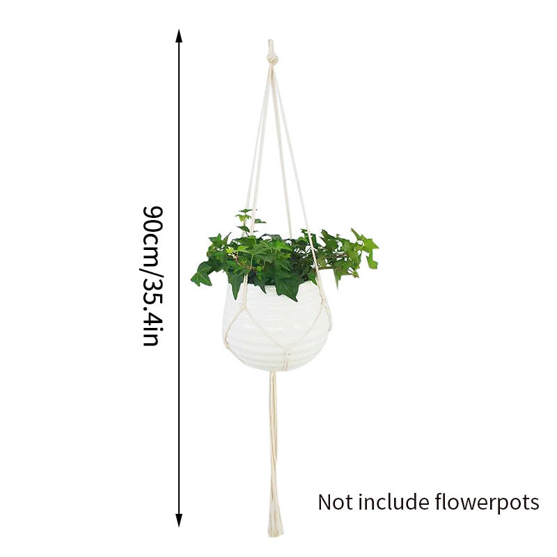 Indoor hanging baskets