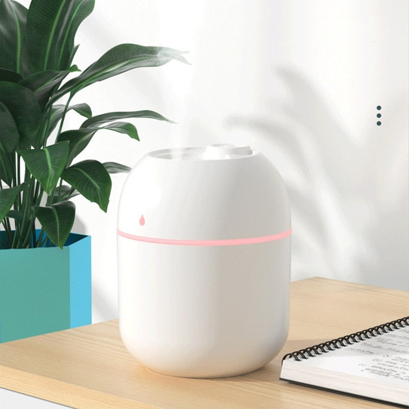 Portable Desktop Humidifier