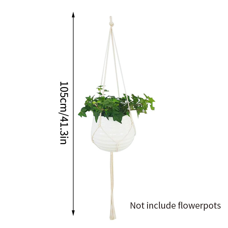 Indoor hanging baskets