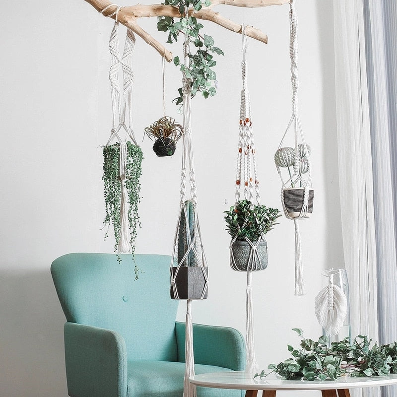 Indoor hanging baskets